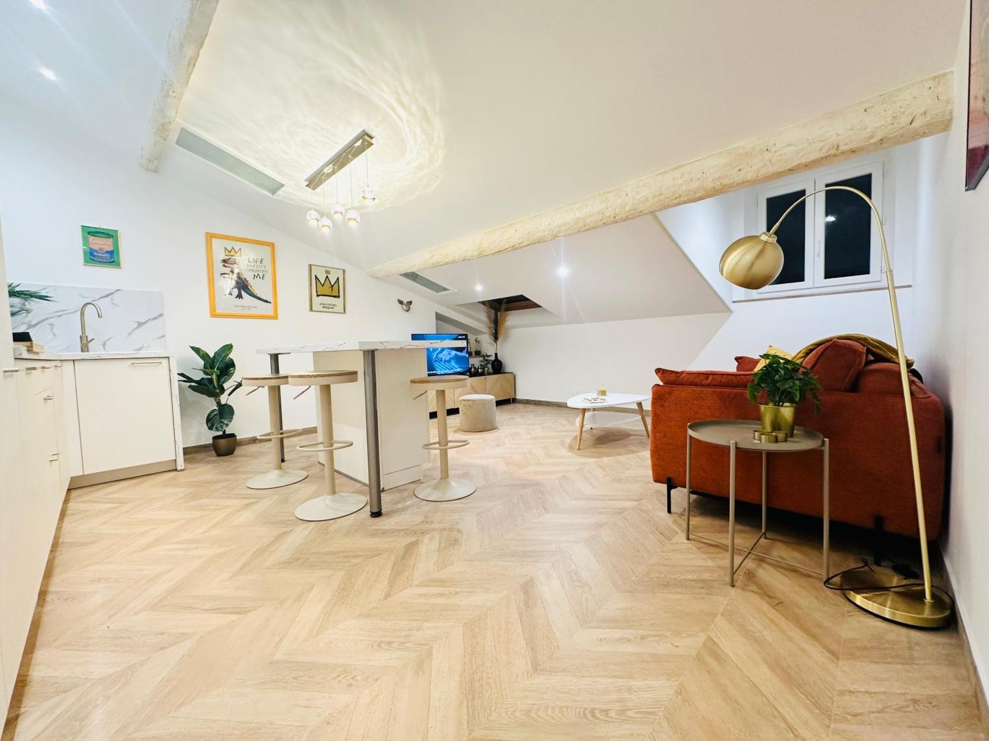 Elegant Mansarde-place Du Pin Appartement Nice